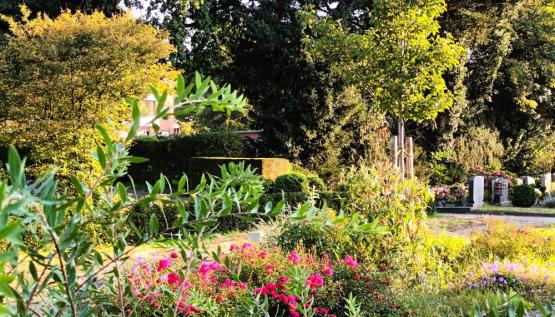 Der Naturgarten im September